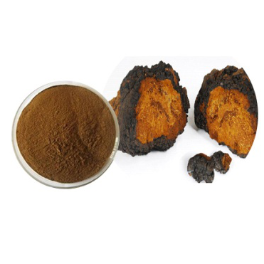 Chaga Mushroom Extract Powder  
