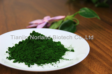 Organic chlorella powder