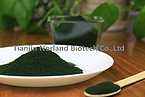 Spirulina powder