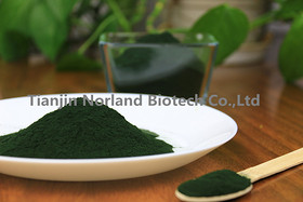 Spirulina powder