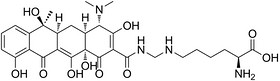 LYMECYCLINE HCI