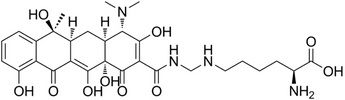 LYMECYCLINE HCI