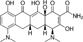 MINOCYCLINE HCl