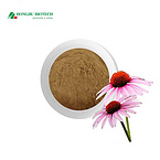 Echinacea Extract Powder