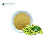 Green Coffee Bean Extract Powder