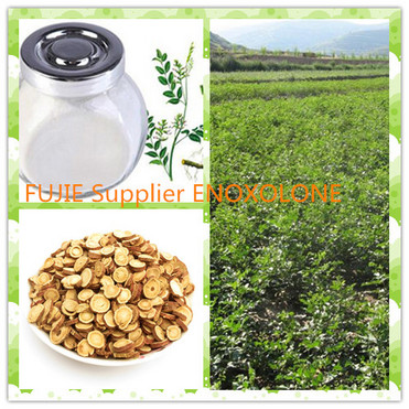 Enoxolone manufacterur in China