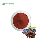 Grape Seed Extract Powder