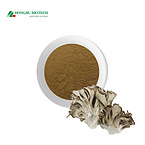 Maitake Mushroom Extract Powder