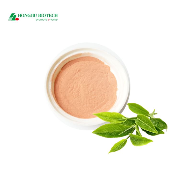 Green Tea Extract Powder