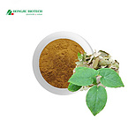 Epimedium Extract Powder