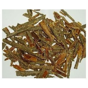 Cascara Sagrada Extract