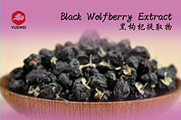BLACK WOLFBERRY EXTRACT