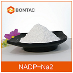 24292-60-2   NADP-Na2