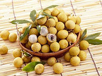 Longan Extract