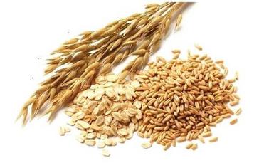 Oats Extract