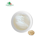 Pumpkin Seeds Extract Powder