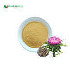 Milk Thistle Extract Powder