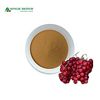 Schisandra Extract Powder