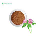 Red Clover Extract Powder