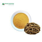 Siberian Ginseng Extract Powder