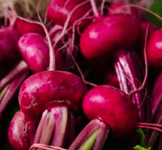 Beetroot Extract