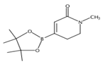 N-methyl-2-pyridione-4-boronic ester