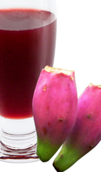 Prickly Pear Cactus Juice Concentrate