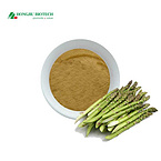 Asparagus Root Extract Powder