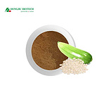 Cucurbita Pepo Extract Powder