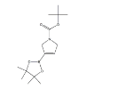 TERT-BUTYL 3-(4,4,5,5-TETRAMETHYL-1,3,2-DIOXABOROLAN-2-YL)-2,5-DIHYDRO-1H-PYRROLE-1-CARBOXYLATE