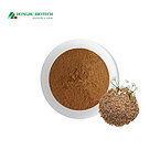 Carum Carvi Extract Powder