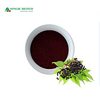 Elderberry Extract Powder