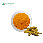 Curcuma Extract Powder