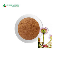 Drosera Rotundifolia Extract Powder