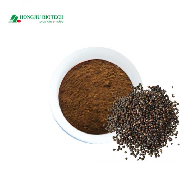 Lagundi Extract Powder