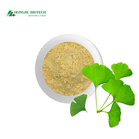 Ginkgo Biloba Leaf Extract Powder