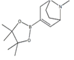 (1R,5S)-8-methyl-3-(4,4,5,5-tetramethyl-1,3,2-dioxaborolan-2-yl)-8-azabicyclo[3.2.1]oct-2-ene