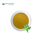 Nettle Extract Powder