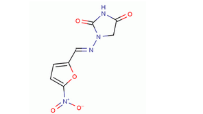 NITROFURANTOIN