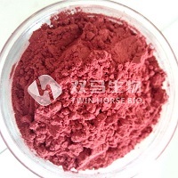 RED YEAST RICE