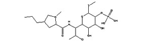 clindamycin phosphate