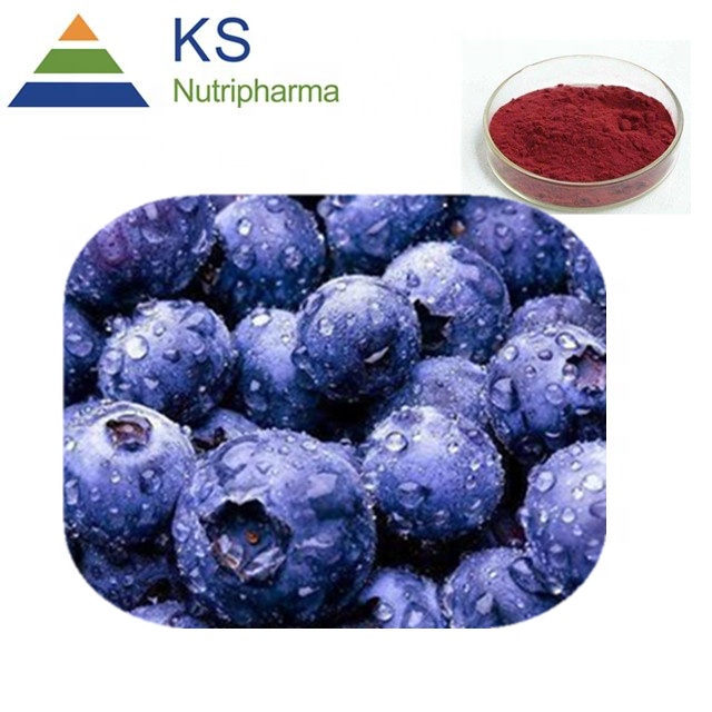 Blueberry extract  