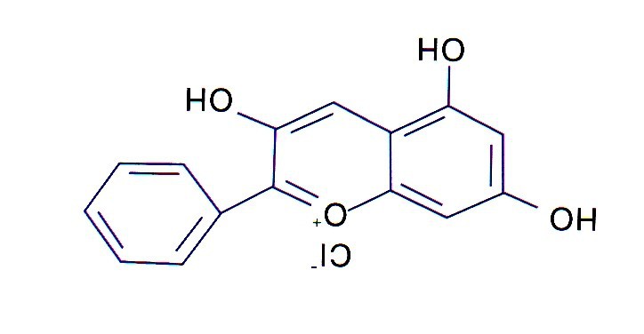 Blueberry extract  