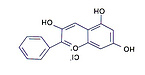 Bilberry extract/Blueberry extract #s