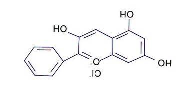 Blueberry extract