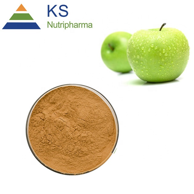 Apple extract Apple polyphenol 70% #T  