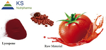Tomato extract Lycopene CWS #T