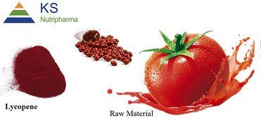 Tomato extract Lycopene powder #T