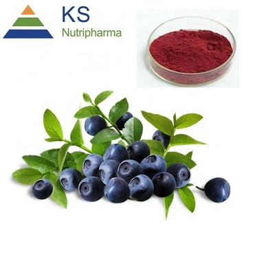 Blueberry extract