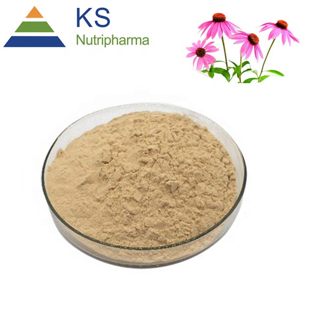 Echinacea purpurea extract Polyphenols 4%-7% #T